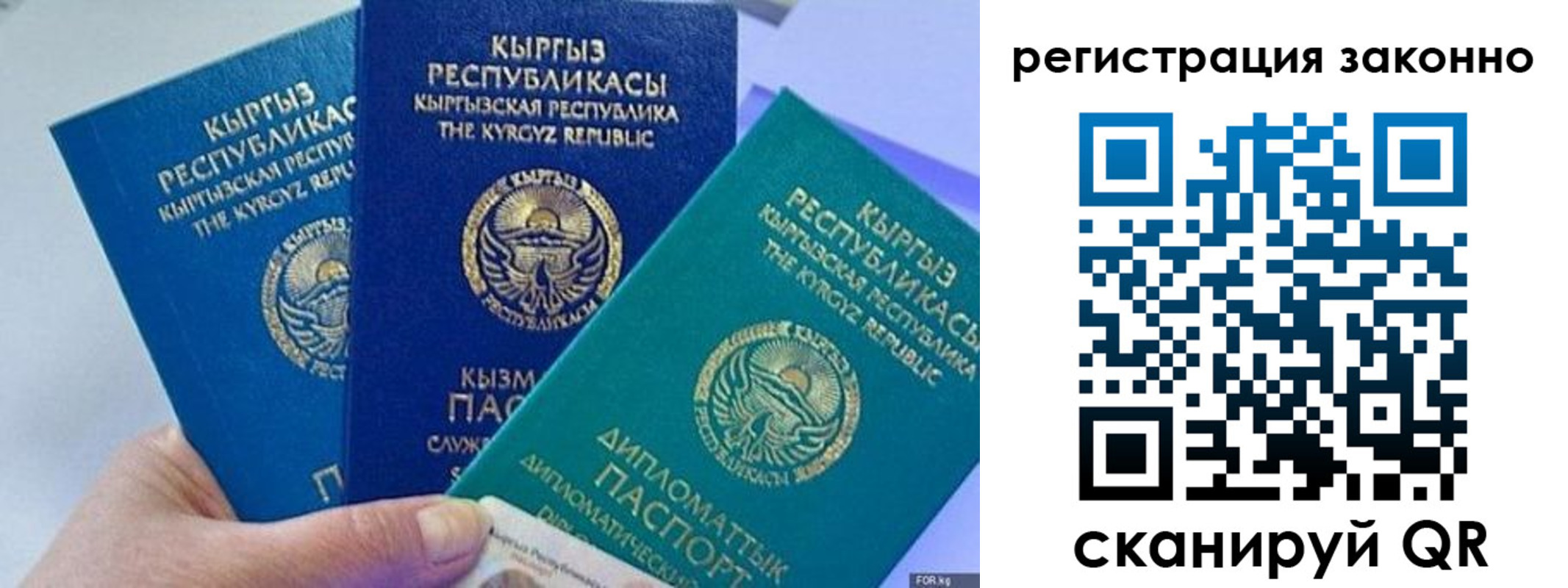 временная регистрация гарантия в Луге